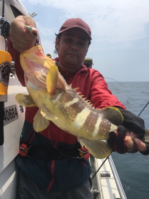 シーモンキー 釣果