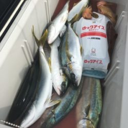 シーモンキー 釣果