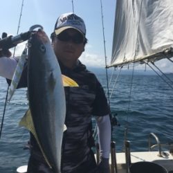 シーモンキー 釣果