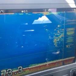 シーモンキー 釣果