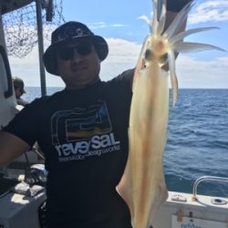 シーモンキー 釣果