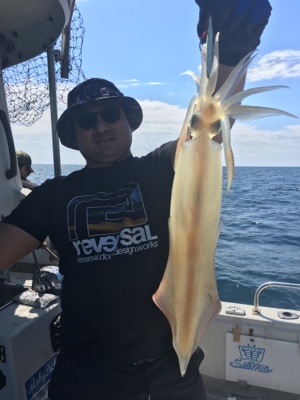 シーモンキー 釣果