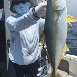 シーモンキー 釣果