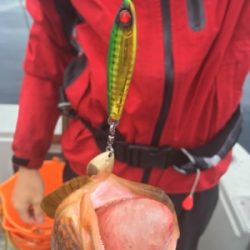 シーモンキー 釣果