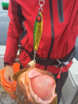 シーモンキー 釣果