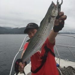 シーモンキー 釣果