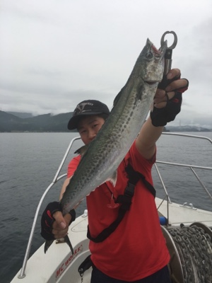 シーモンキー 釣果