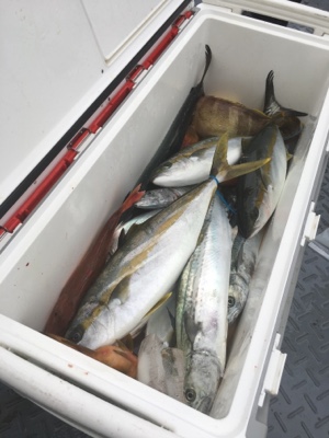 シーモンキー 釣果