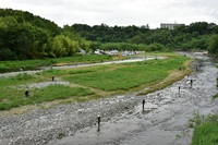 秩父フライフィールド 釣果