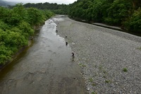 秩父フライフィールド 釣果