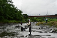 秩父フライフィールド 釣果