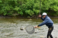 秩父フライフィールド 釣果