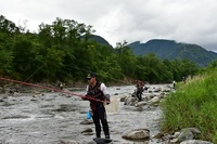 秩父フライフィールド 釣果