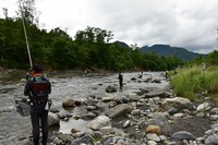 秩父フライフィールド 釣果