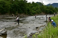 秩父フライフィールド 釣果
