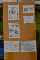 秩父フライフィールド 釣果