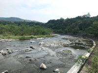 秩父フライフィールド 釣果