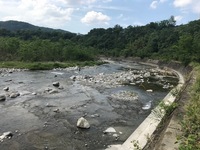 秩父フライフィールド 釣果