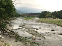 秩父フライフィールド 釣果