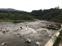 秩父フライフィールド 釣果