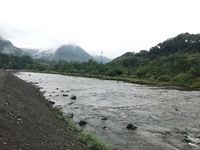 秩父フライフィールド 釣果