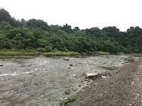 秩父フライフィールド 釣果