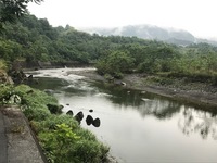 秩父フライフィールド 釣果