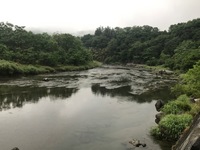 秩父フライフィールド 釣果