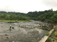 秩父フライフィールド 釣果