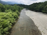 秩父フライフィールド 釣果