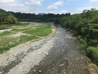 秩父フライフィールド 釣果