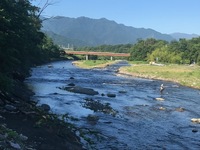 秩父フライフィールド 釣果