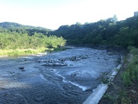 秩父フライフィールド 釣果