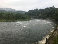 秩父フライフィールド 釣果