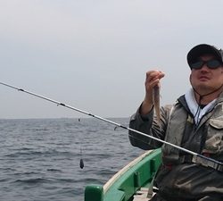 根岸丸 釣果