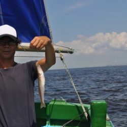 根岸丸 釣果
