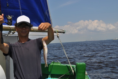 根岸丸 釣果