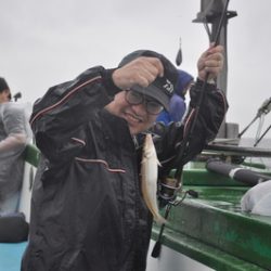 根岸丸 釣果