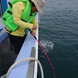 小樽港遊漁船SHAKE 釣果