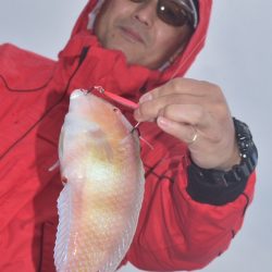 渡船屋たにぐち 釣果