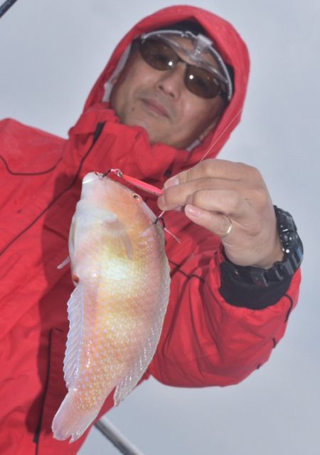 渡船屋たにぐち 釣果