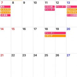 「LaGooN」蒼陽丸 日和号　 釣果