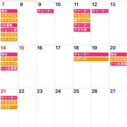 「LaGooN」蒼陽丸 日和号 釣果