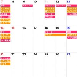 「LaGooN」蒼陽丸 日和号 釣果