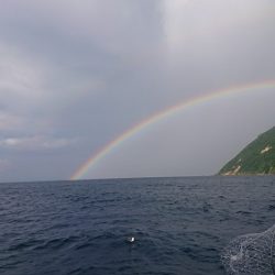 小樽港遊漁船SHAKE 釣果