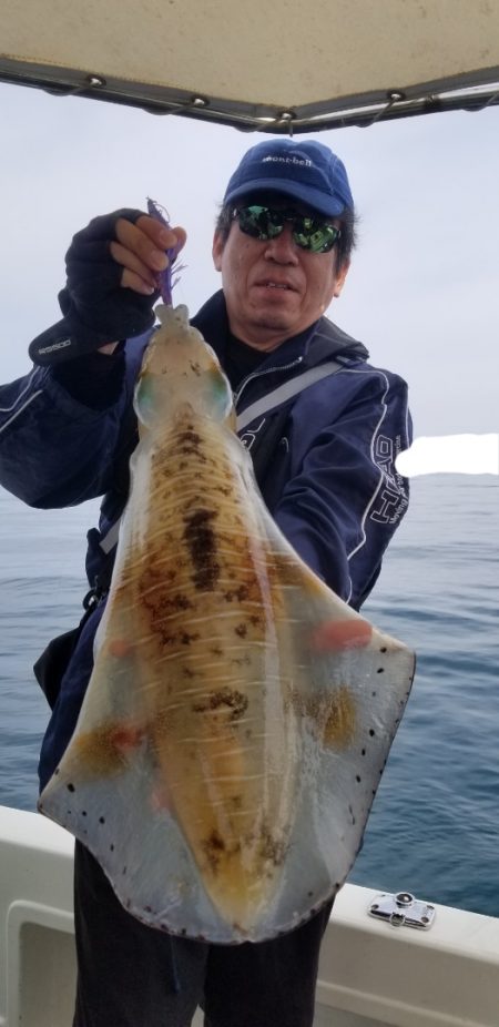 ソルトウォーターガイドフレンズ 釣果