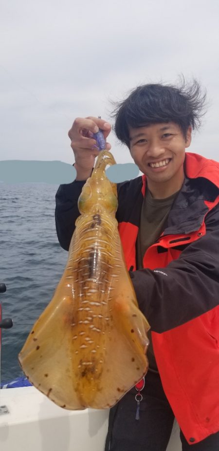 ソルトウォーターガイドフレンズ 釣果