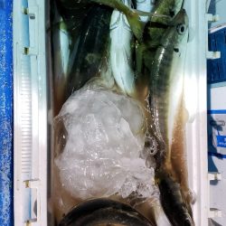 海龍丸（石川） 釣果