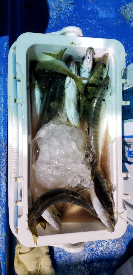 海龍丸（石川） 釣果