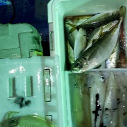 海龍丸（石川） 釣果